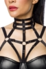Harness- Wetlook-Kleid
