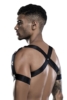 Harness Outfit von Saresia MEN roleplay
